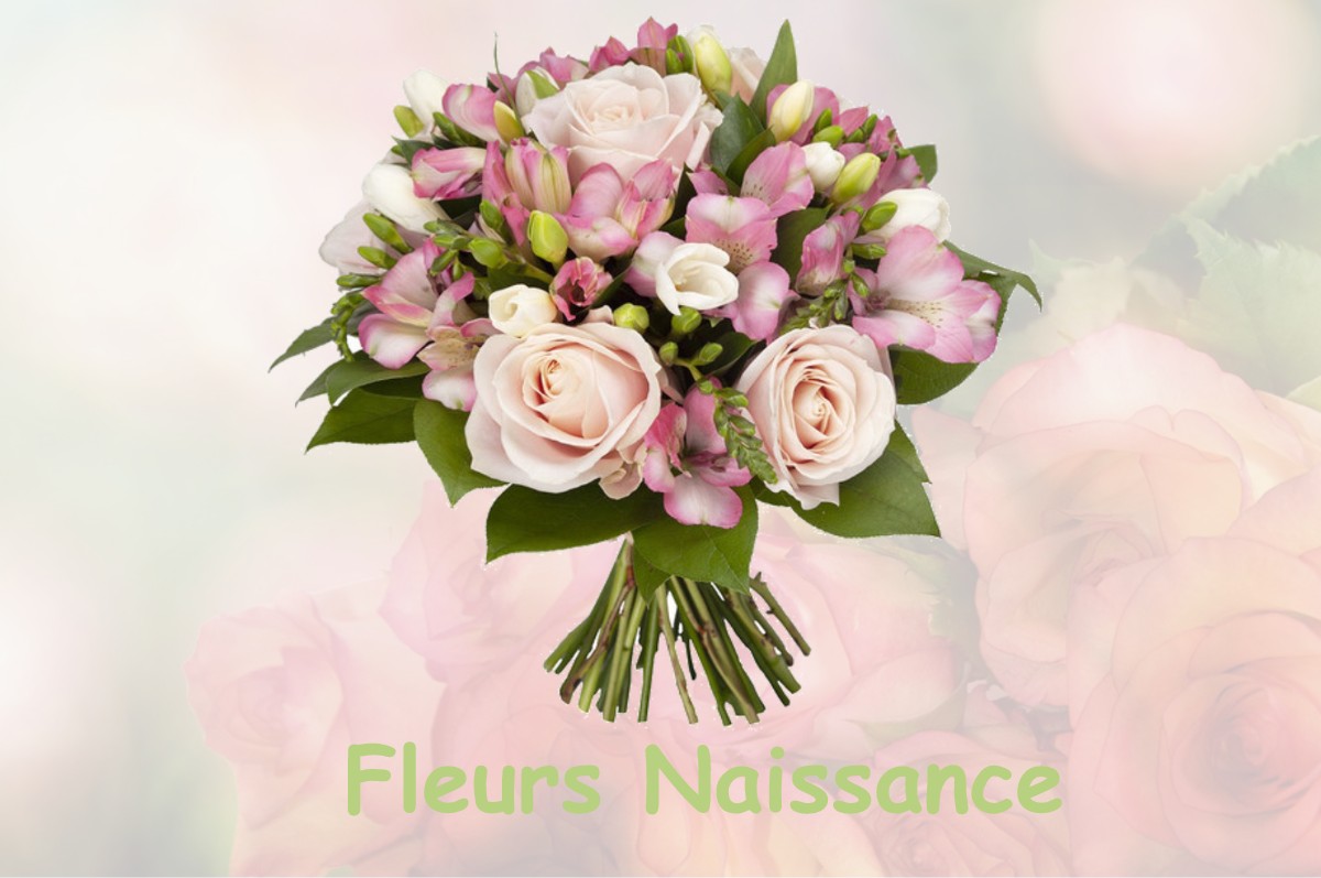 fleurs naissance SAINT-AGNIN-SUR-BION