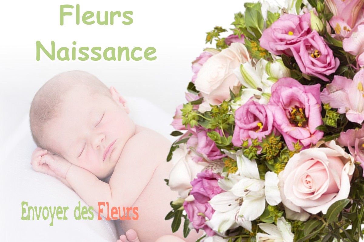 lIVRAISON FLEURS NAISSANCE à SAINT-AGNIN-SUR-BION